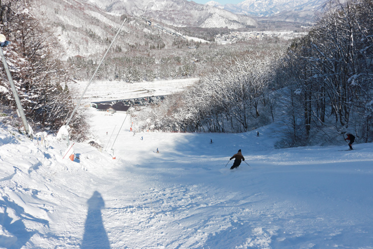 12/6（土）本日もたくさんのご来場ありがとうございました！ 15時現在