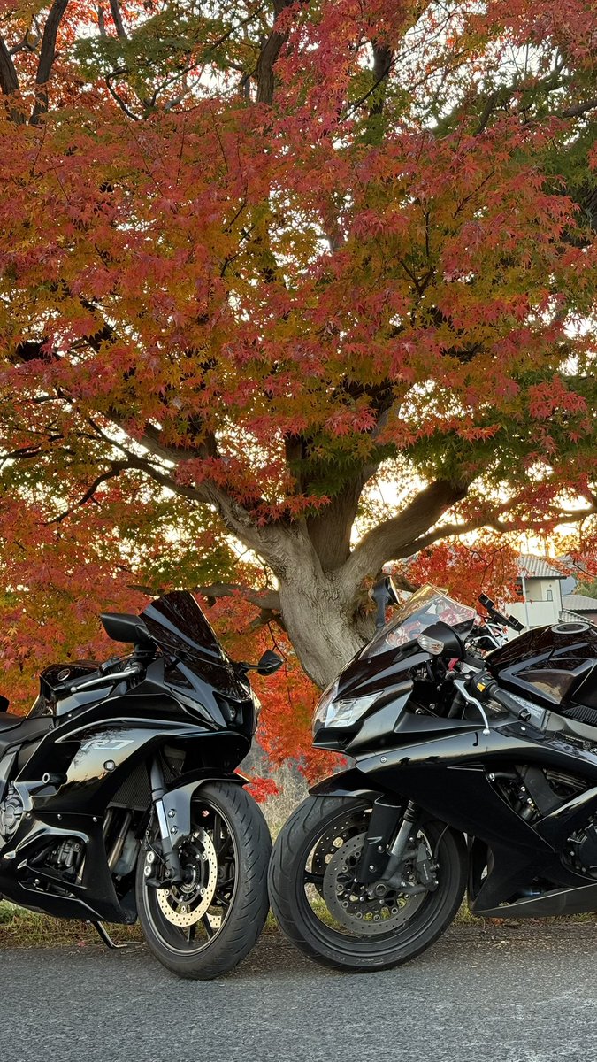 yzfr7__oO's tweet photo. 女子ツー楽しかった🍁 https://t.co/PBcpyrG39z