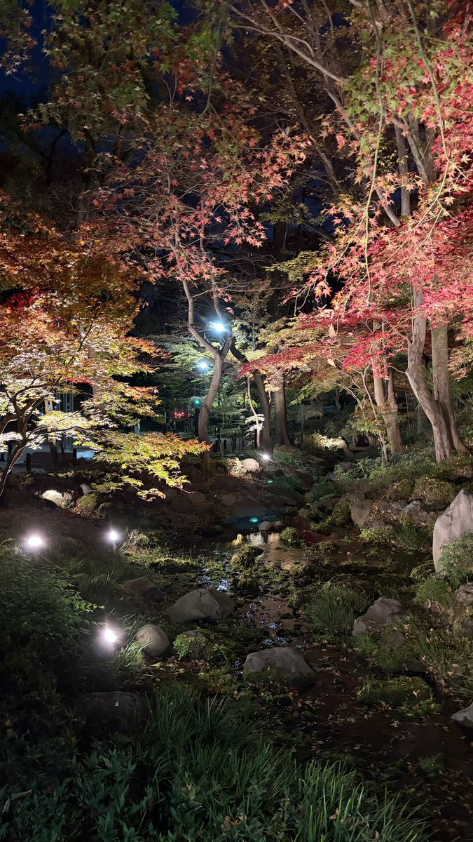 今シーズンの芝公園の紅葉も、そろそろおしまいですね。
ここから冬の到来。