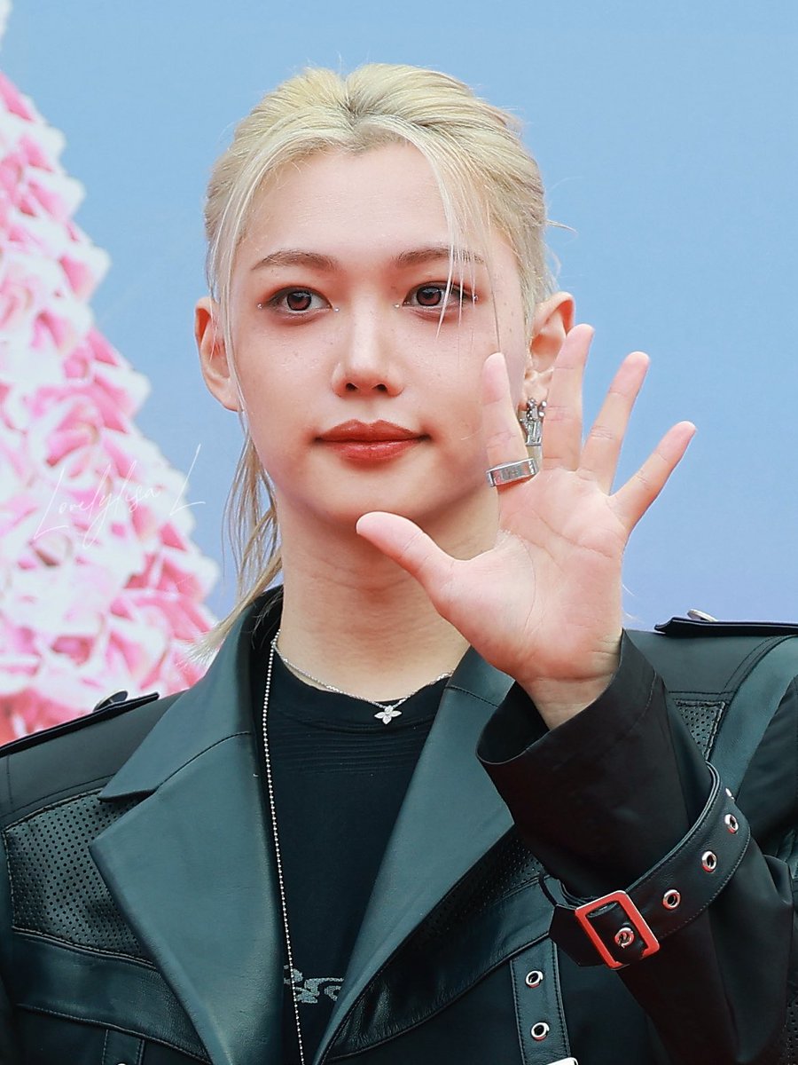 251206 AAA Red carpet 👋 🐱 #straykids #felix #필릭스
