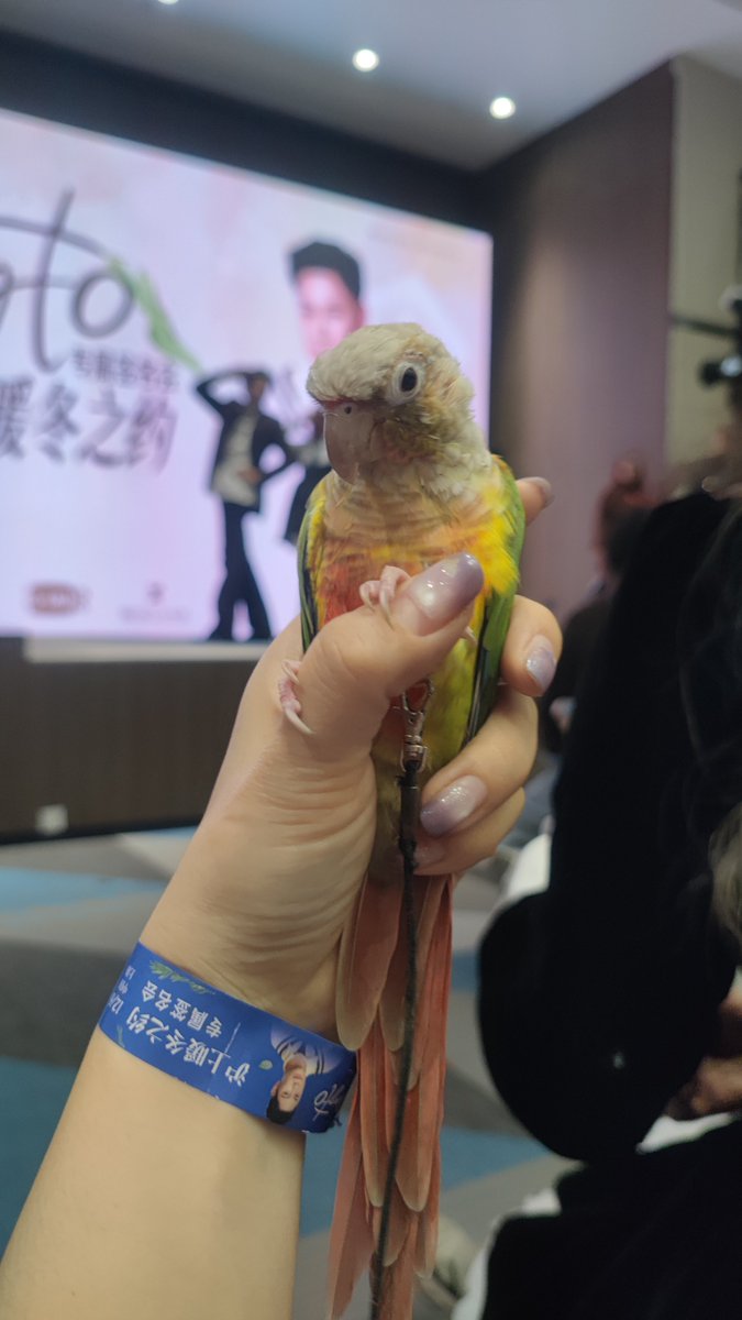 ting00314's tweet photo. 🦜 &amp; 🦁
#SingtoPrachaya 
#SingtoFanSign https://t.co/BSxN35iq2O