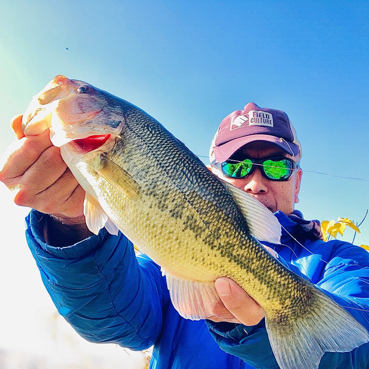 yamadia4's tweet photo. 「冬ラージ」始めました😁
いよいよ越冬場に集まり始めましたね‼️
#bass #bassfishing #fishing #ブラックバス #ブラックバス釣り #釣り #バス釣り #バスフィッシング #霞ヶ浦 #霞水系 #ラージマウスバス #メタルバイブ #リアクション #冬バス https://t.co/UeJCy30gTa
