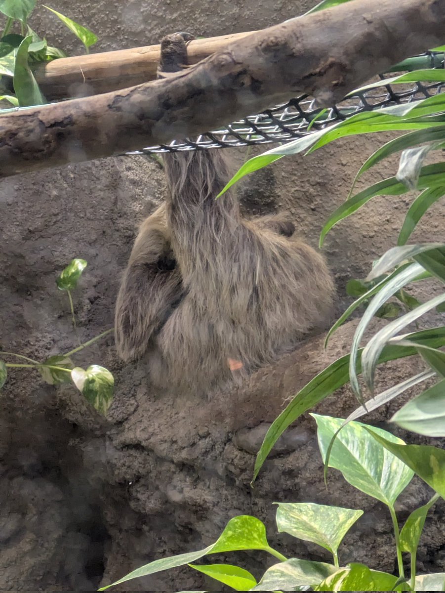 パチパチくん！