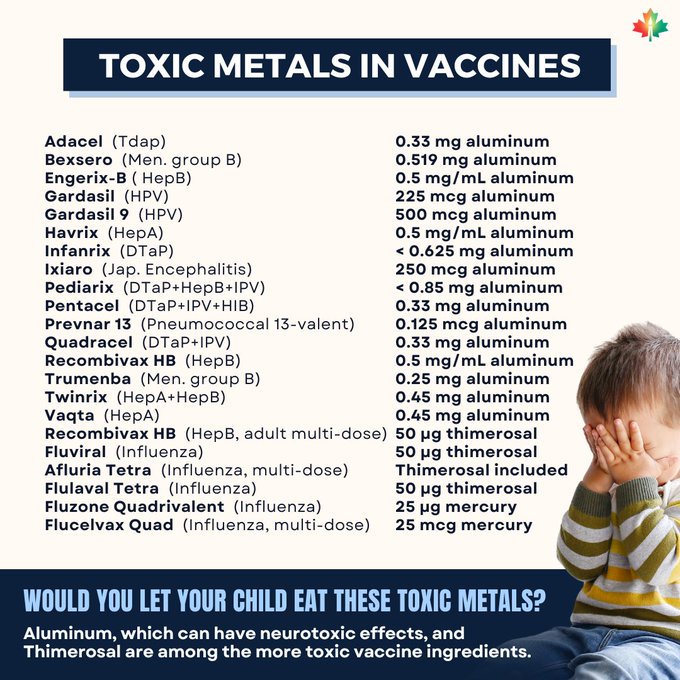 Sandfort tweet media