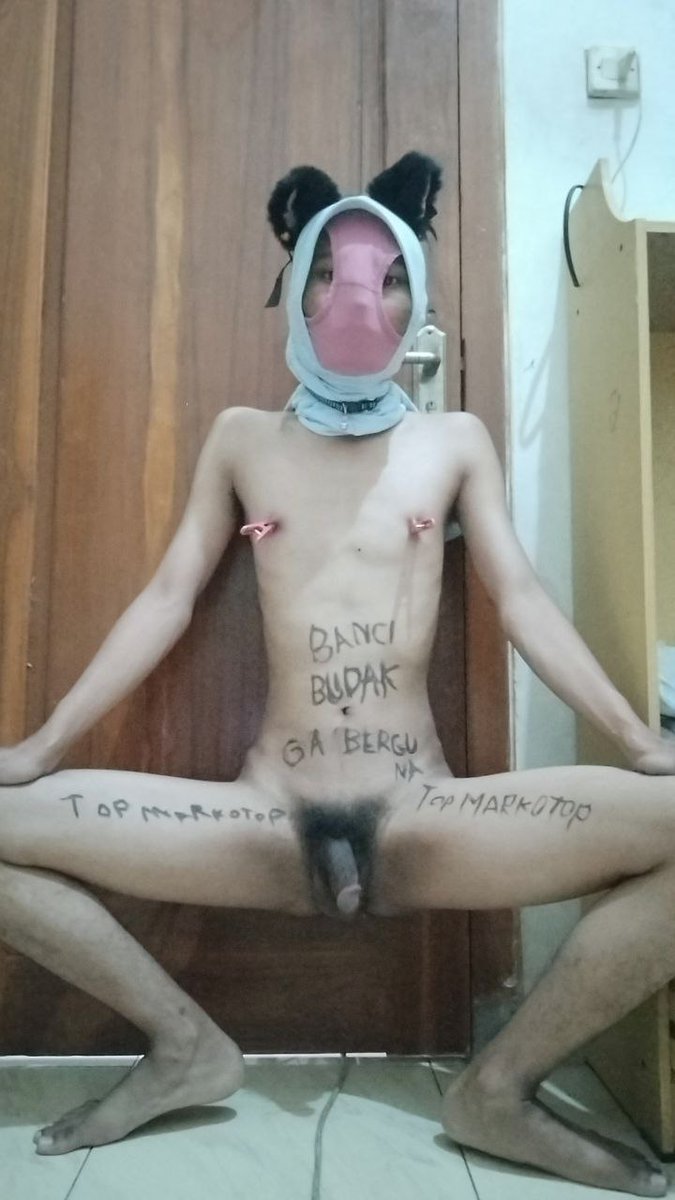 TOP markoTOP tweet media