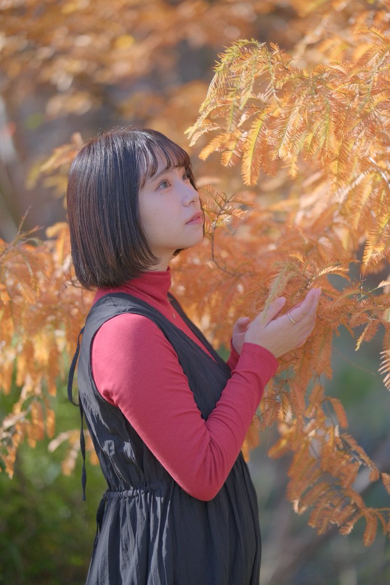 taka_taka_photo's tweet photo. モデル：千尋
@Chi13n__ 

#メタセコイヤ
#ポートレート
#portrait
#スナップポートレート
#ランドスケープポートレート
#エモい
#ノスタルジー
#FUJIFILM
#富士フィルム
#フィルムシミュレーション
#XF56mmF1.2
#XT30
#JPEG
#JPEG撮って出し https://t.co/t8sF8uDPQ4