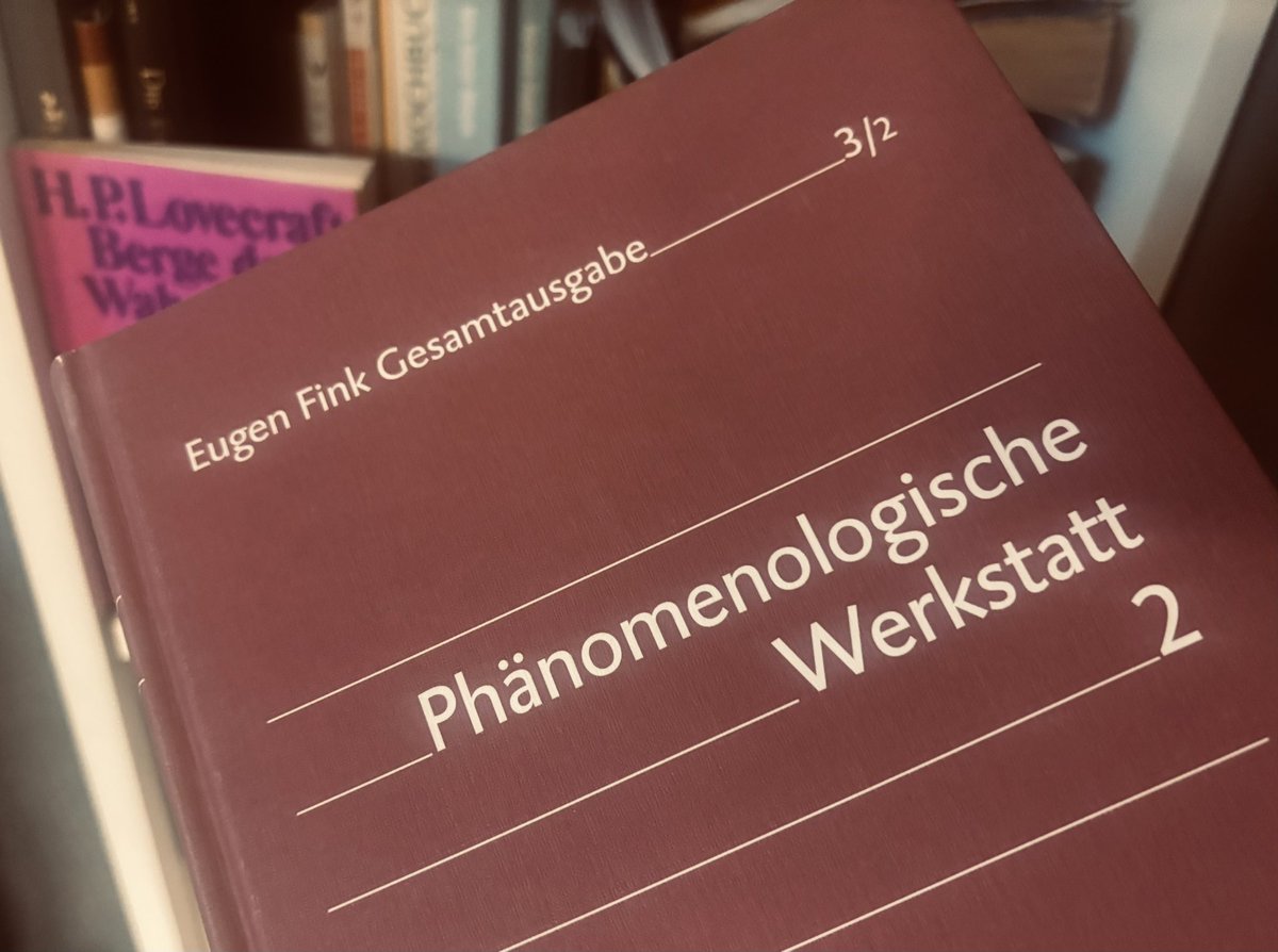 Lese die Notizen Eugen Finks, vor dem Hintergrund von Luhmanns phänomenologischen 'Wurzel(probleme)n'.
"Welt" nicht erweiterbar, und auch nicht von außen begrenzbar. Nur-Einseitig-verwendbare-Zwei-Seiten-Form, oder, reflexionslogisch (Schällibaum, Zorn): "Eine Grenze ohne Außen".