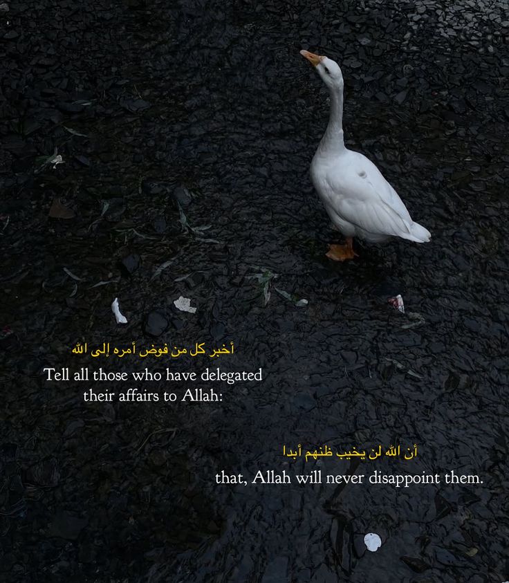 U m e . . (@iummer_21) on Twitter photo 