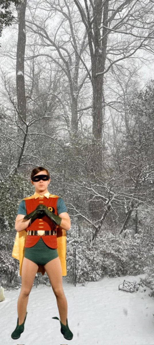 Spotted my first Winter  Robin today.