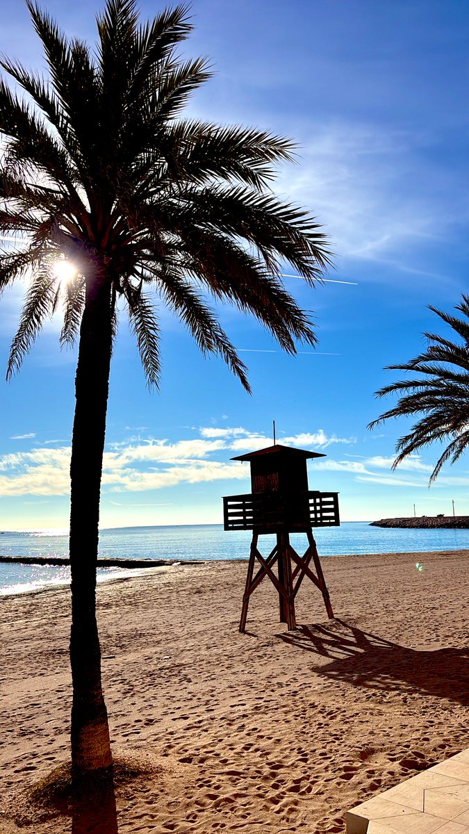 ☀️🌴🌊#dayoff #relax #sun #sea #calm #photography #photo #photooftheday