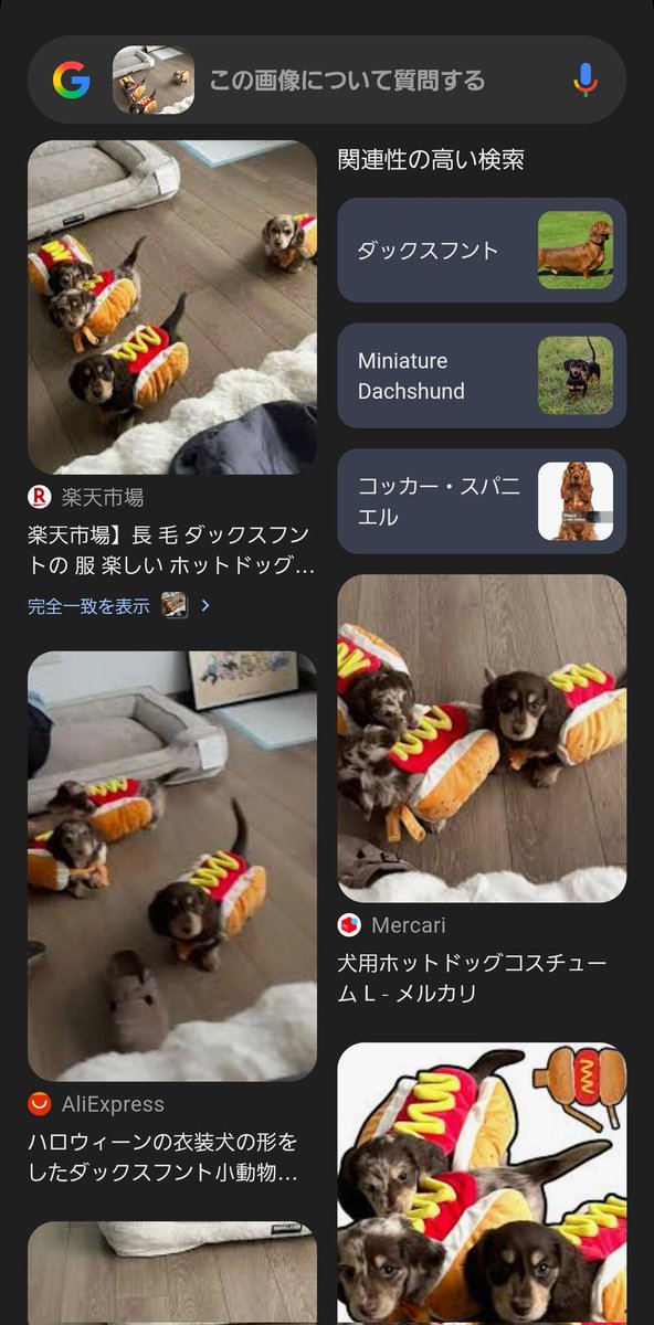 TheGoddessSlave's tweet photo. @animalkyat 販売会社の方ですかね
わんこ沢山羨ましい🐶🐶🐶 https://t.co/dCskjtRc4s