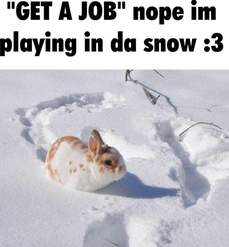 devgloom's tweet image. Q