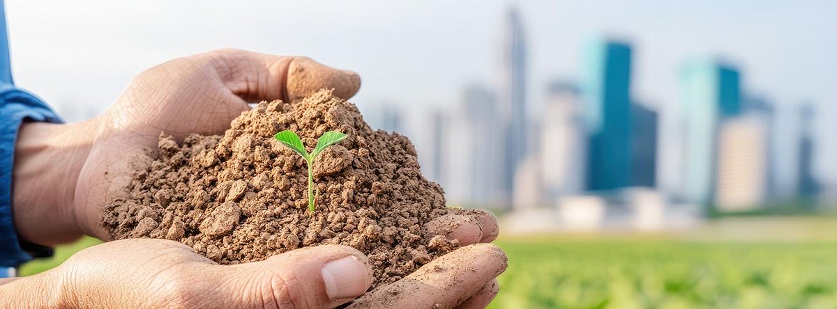 Binlerce yılda oluşan toprak , tüm canlılar için olmazsa olmazdır.  İnsan eliyle bimlerce yılda oluşan  toprağı ranta ve kirliliğe kurban edersek kendi sonumuzu hazırlarız.  Ozanımızın dediği gibi “  benim sadık yarim kara topraktır”  5 Aralık #DünyaToprakGünü