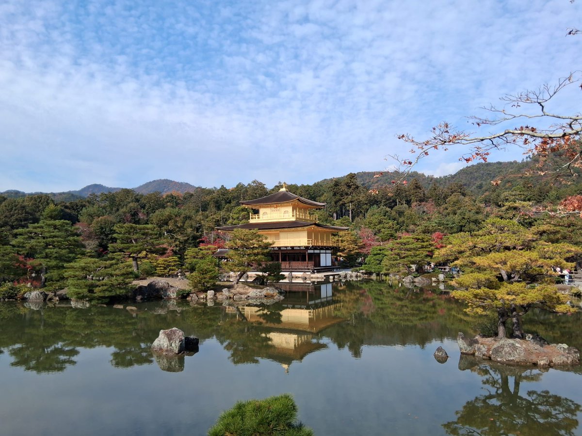 Javier Fernández tweet media