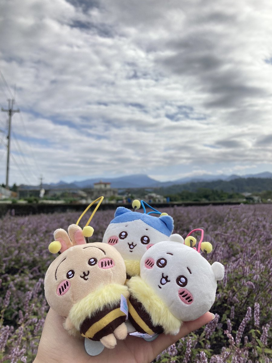 sinoun99's tweet image. 跟朋友一起出門走走