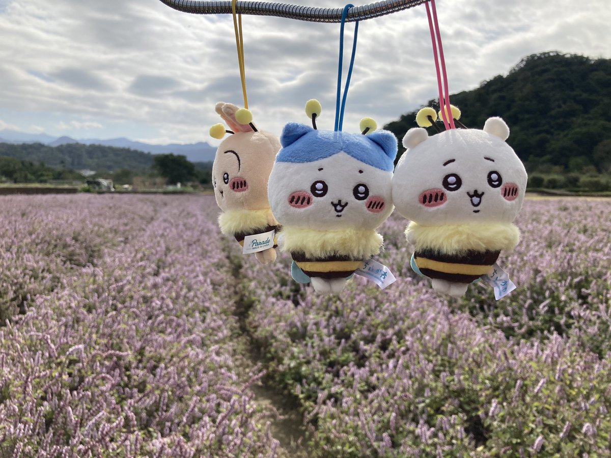 sinoun99's tweet image. 跟朋友一起出門走走