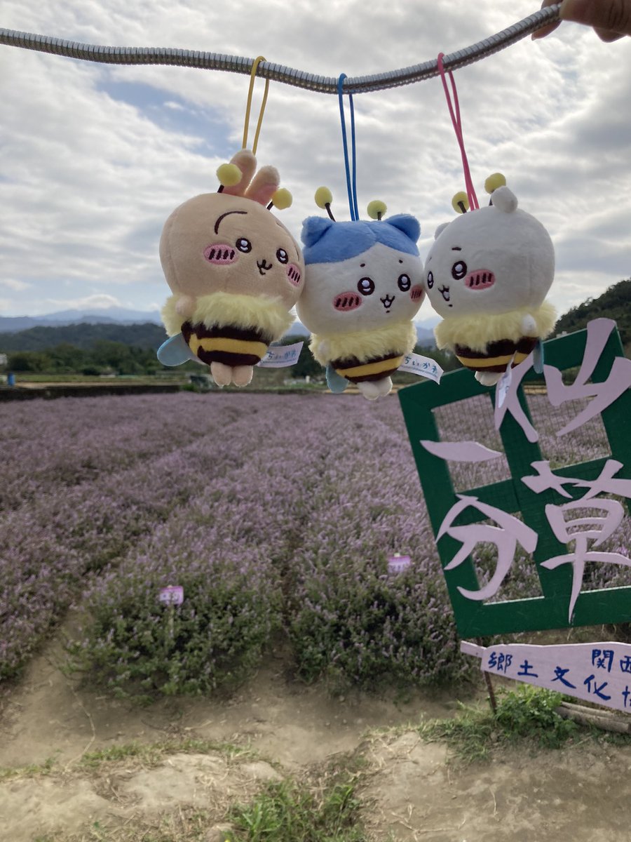 sinoun99's tweet image. 跟朋友一起出門走走