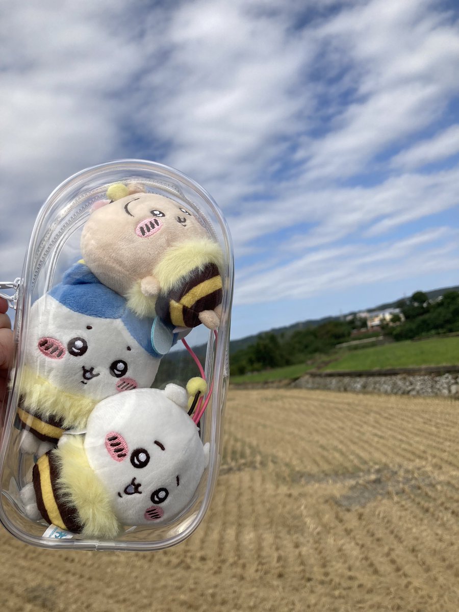 sinoun99's tweet image. 跟朋友一起出門走走