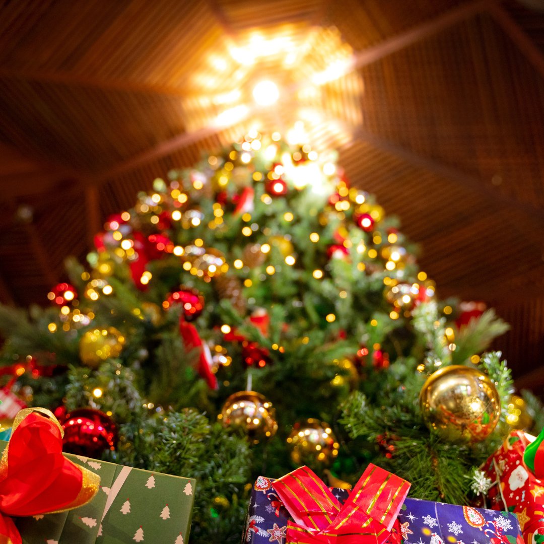 AMIANARESORT's tweet photo. 🎄🎄𝗙𝗲𝘀𝘁𝗶𝘃𝗲 𝗕𝗹𝗶𝘀𝘀 𝗼𝗻 𝘁𝗵𝗲 𝗦𝘁𝘂𝗻𝗻𝗶𝗻𝗴 𝗕𝗮𝘆!

Amiana Resort Nha Trang invites you to embrace the spirit of the holidays with unforgettable moments and joyful gatherings.

Scan the QR code to explore our curated festive experiences.

 #Festiveseason2025 https://t.co/KsK7M1vqP8