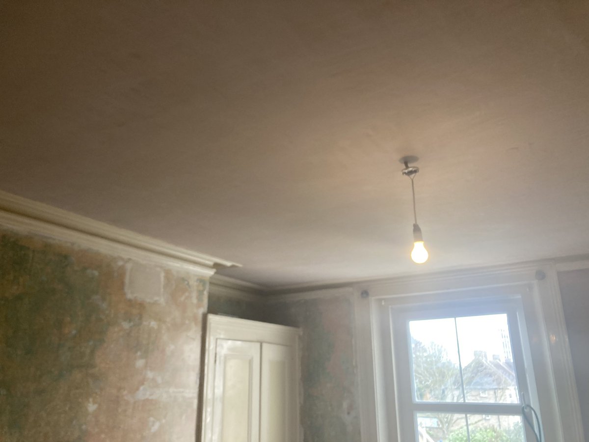 Pegasus Plasterers tweet media
