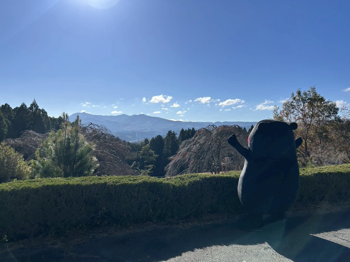 おはくま〜！今日もはりきっていくモン！
