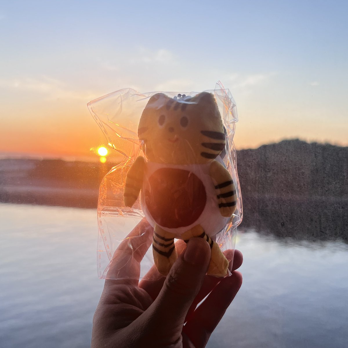 阪九フェリーのキャラクターのふねこちゃん ゆるくてかわいくて座る時