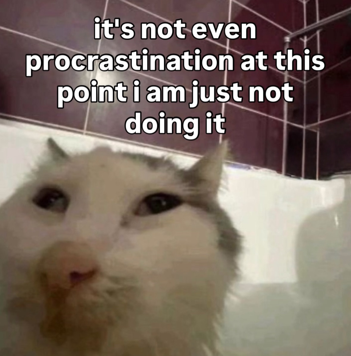 RespectfulMemes's tweet photo. https://t.co/7WyYi8oAqd