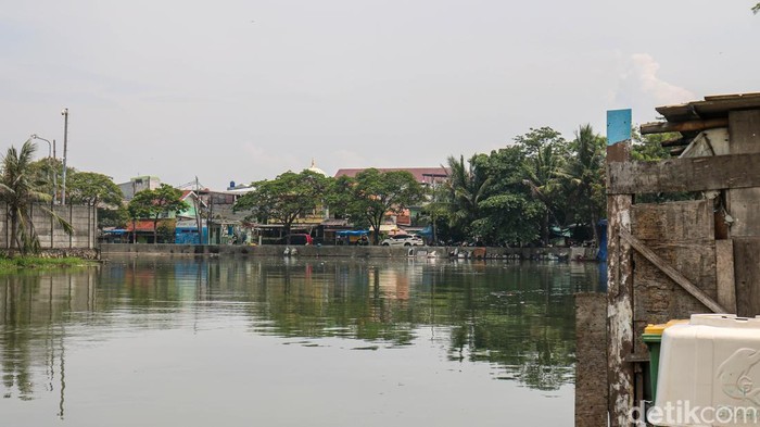 detikcom's tweet photo. Kali Sunter lagi naik, warga Lagoa Jakut diminta siaga!
>> https://t.co/BOtuReTQ5H
Foto: Muhammad Reevanza/detikcom
#detikcom #Sunter #KaliSunter https://t.co/ajfE3x3qGz