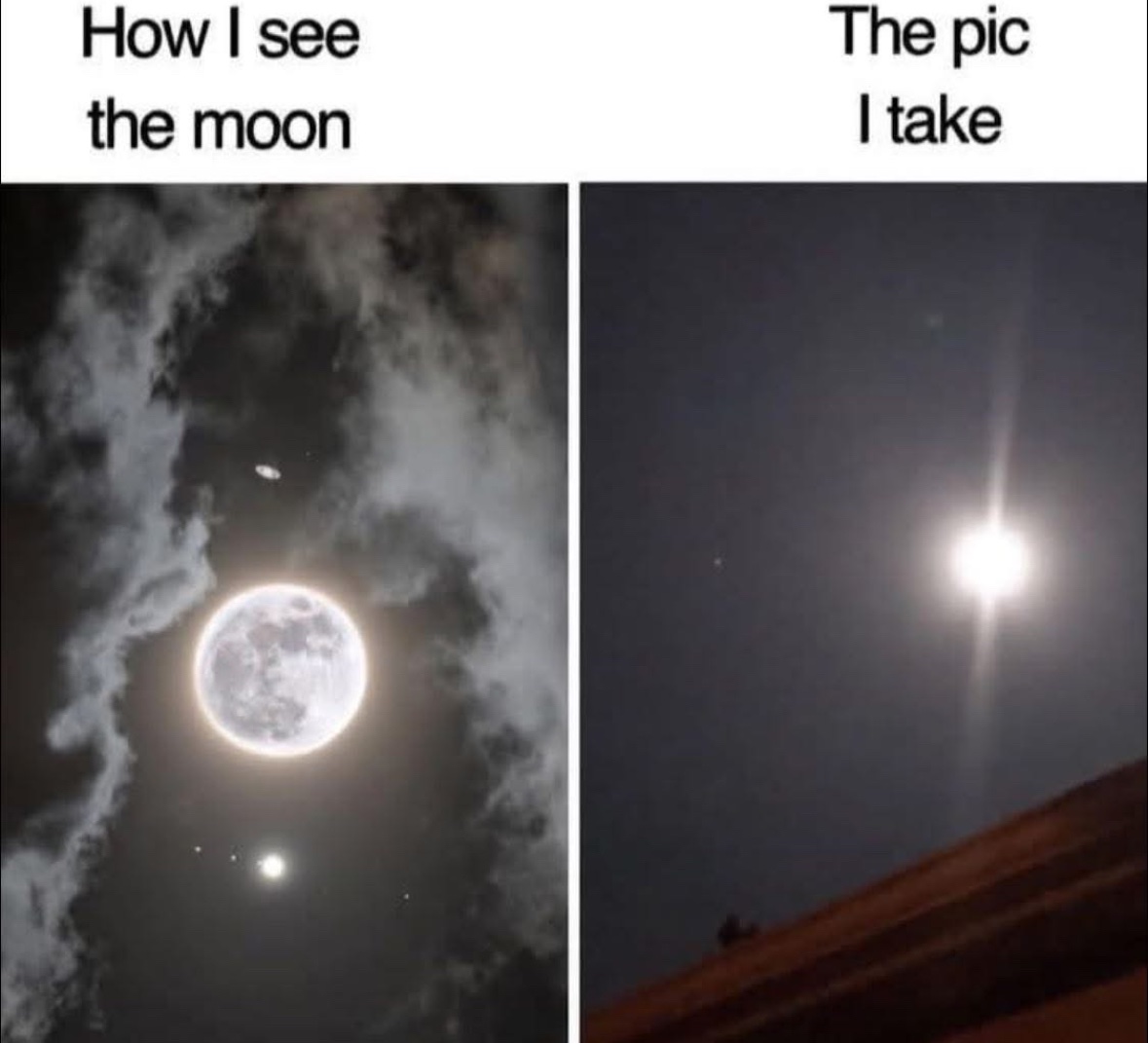 Respectful Memes (@respectfulmemes) on Twitter photo 