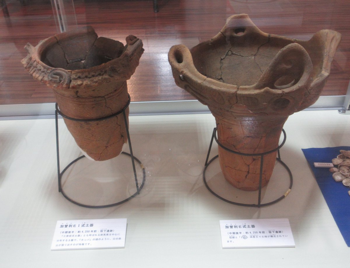 武蔵記205』「蓮田市文化財展示館」③ “黒浜貝塚出土の犬の骨”。 他に