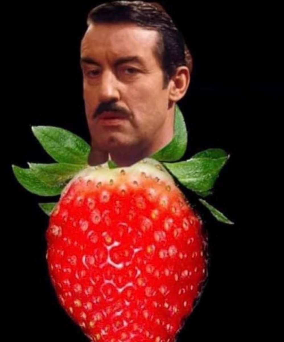 You’ve heard of ‘Elf on a Shelf’ but what about…