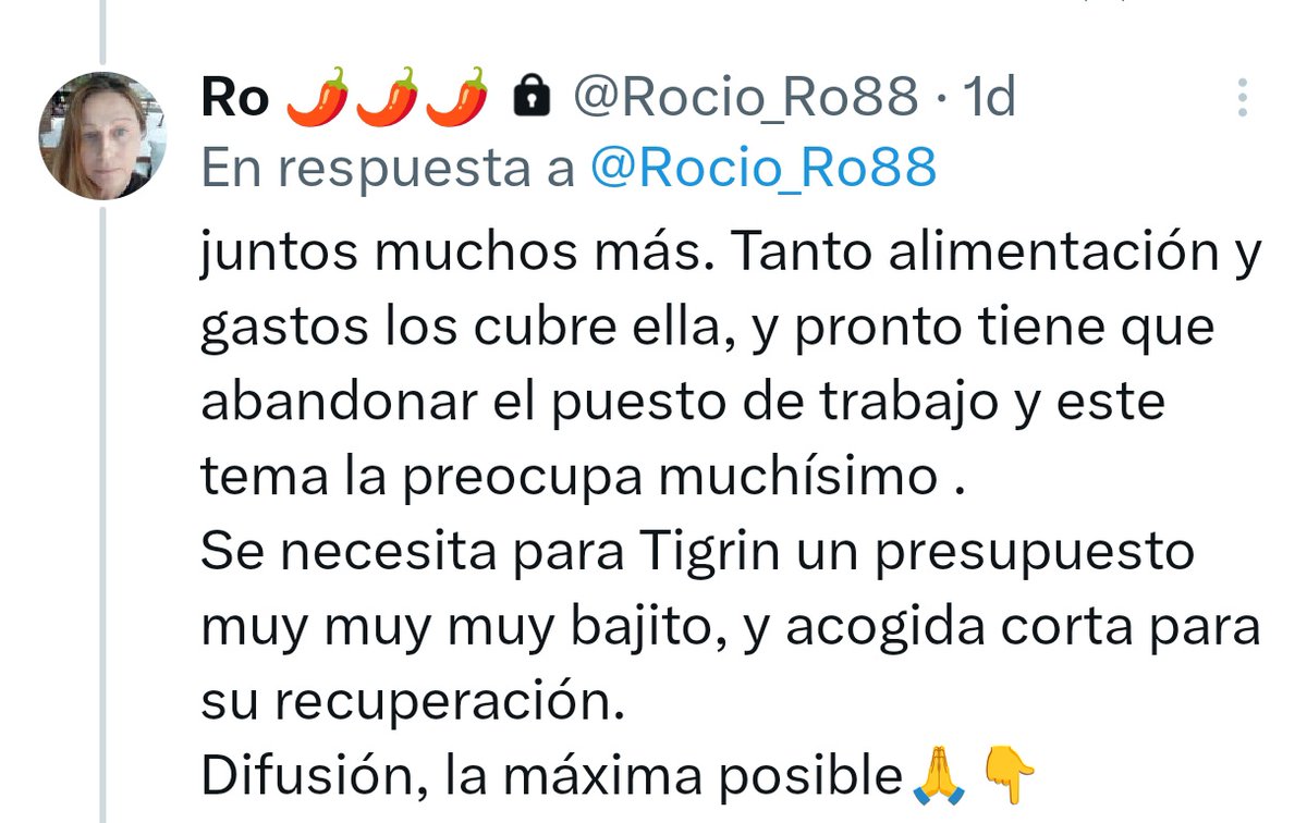 Difundimos el caso de mi primo Tigrin, ni puede alimentarse del dolor en su boquita, es una belleza