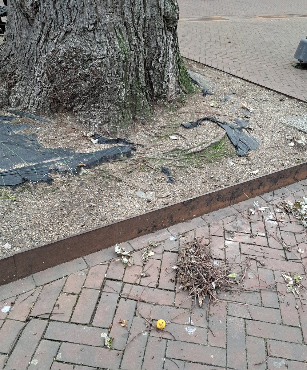 Hier in Twente zeggen we: 

He’j ’t nust onder ’n boom lig’n?

(Is je verkering/relatie voorbij?)

Önder d’n droad deur vret'n is vreemdgaan, dus ik hoop voor ze dat dat niet het geval is. 🙃