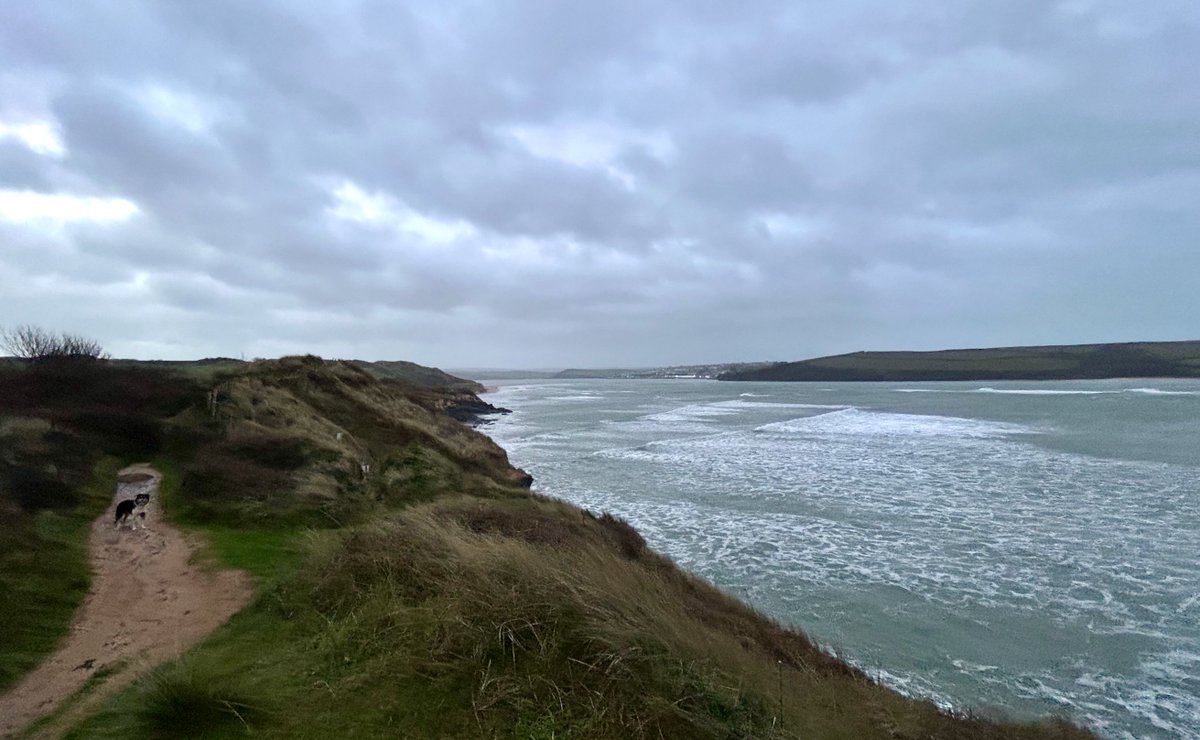 CliffsideKatie's tweet image. It's a wild one 🌬️🌬️🌬️🌬️🌬️🌬️ #windy
