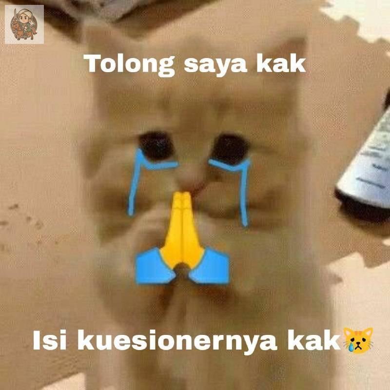 UNDIP MENFESS tweet media