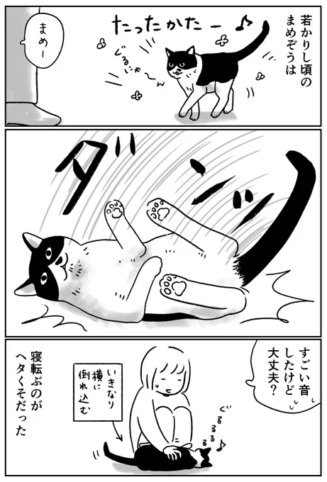 若かりし頃のまめぞう 