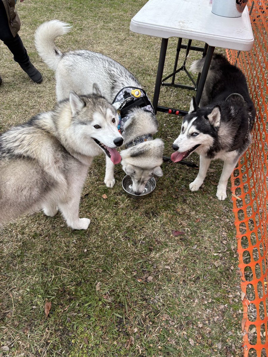 ガブちゃん (@rn2312412) / Posts / X