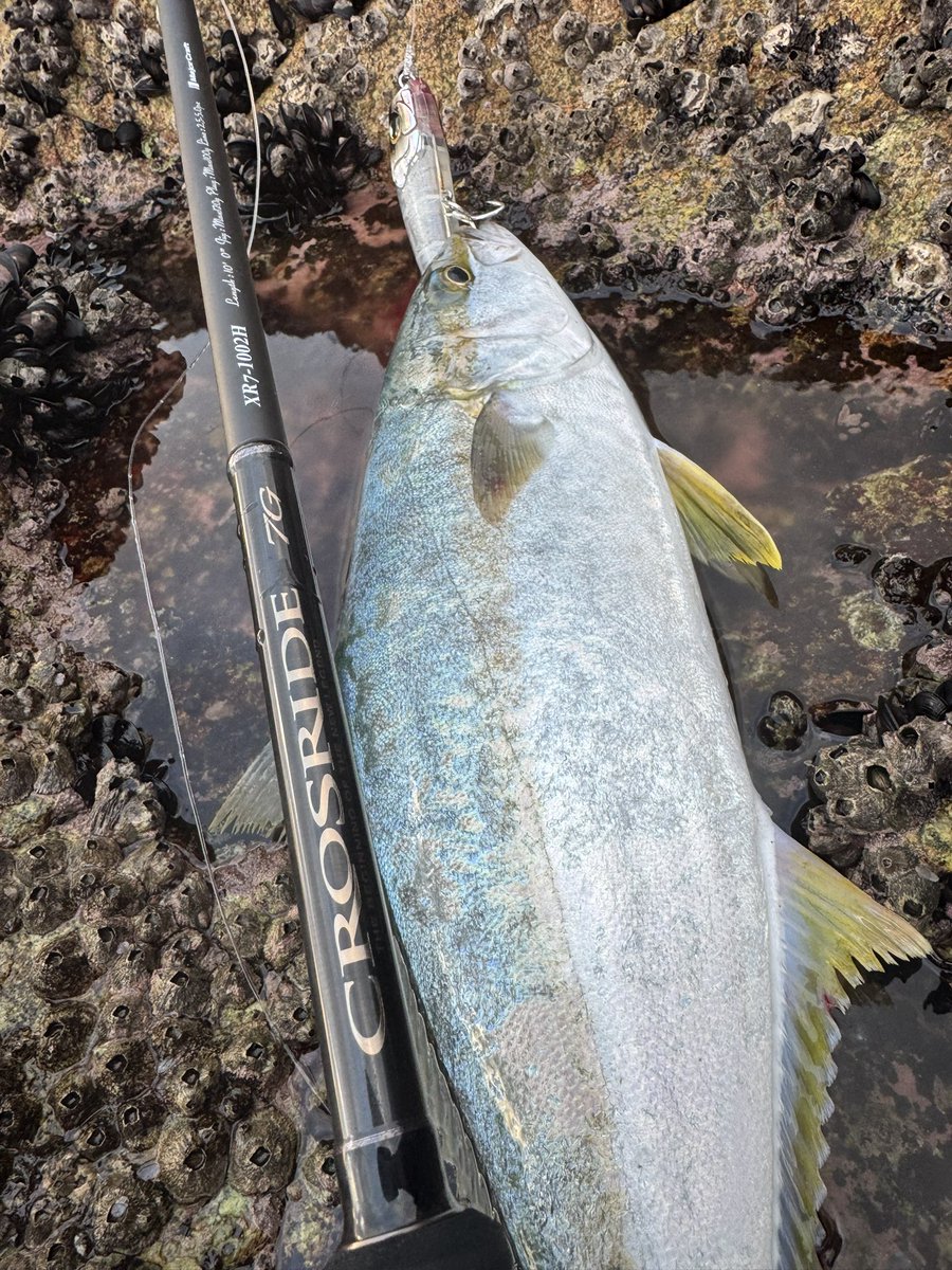 ショアジギング