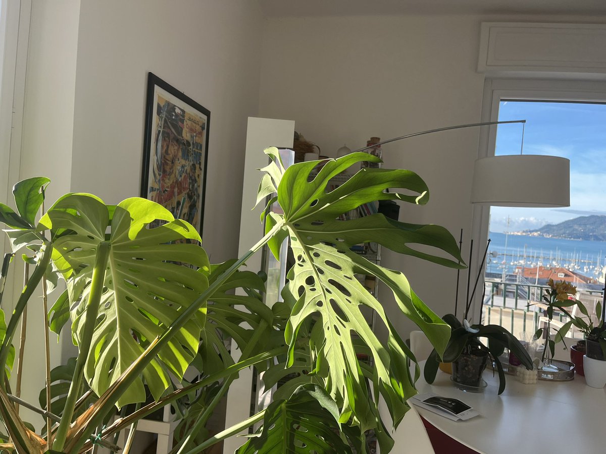 acquadiary's tweet image. 09.59 AM ⋆˚꩜｡

🏷️ #lifetwt #archivetwt