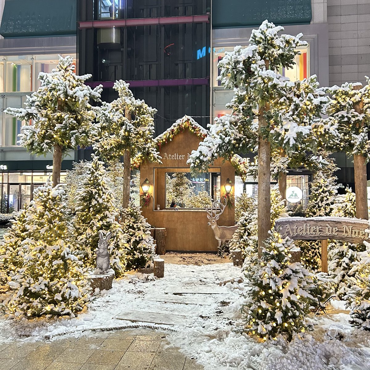 COMACHICO1's tweet photo. 2025.12.4 韓国旅行
#韓国旅行　#初雪 https://t.co/LDb5VStGzb
