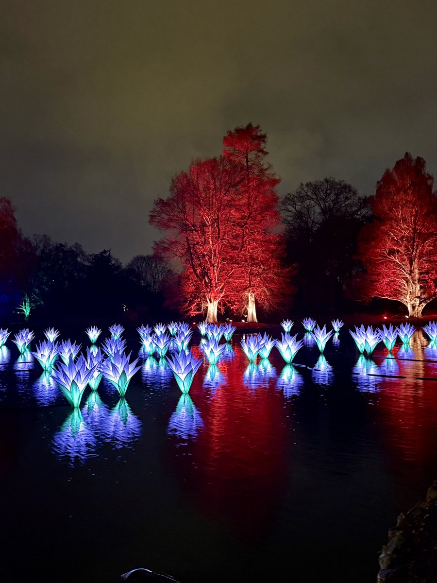 Evening Christmas lights stroll 🚶‍♂️🎄Kew Gardens, South West London. #KewGardens #SWLondon #ChristmasLights #Christmas #December2025
