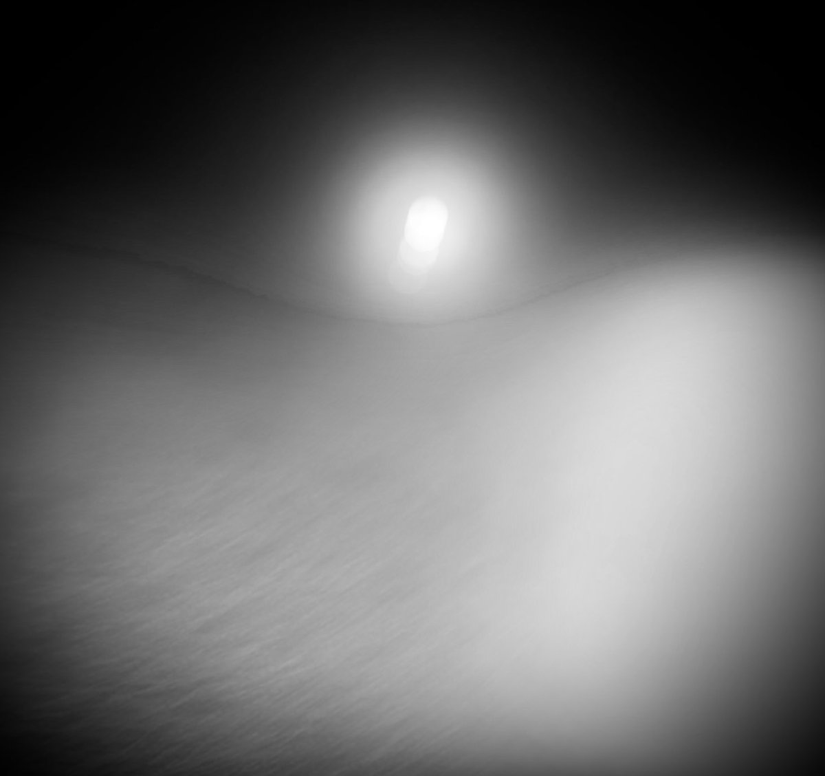 Waning Moon. Dense Fog. 🌫️🔘🌫️
#aroundSarasota #longexpo #thephotohour
