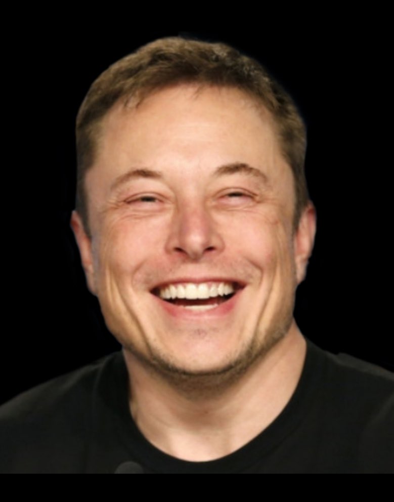 Georg Pazderski tweet media