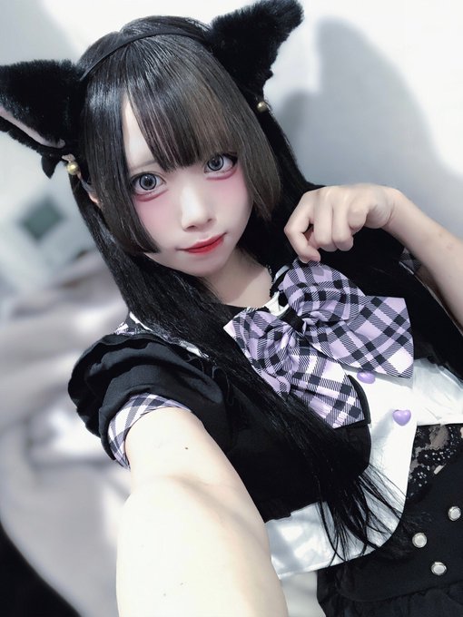 子猫maidcafeRagdollのツイート