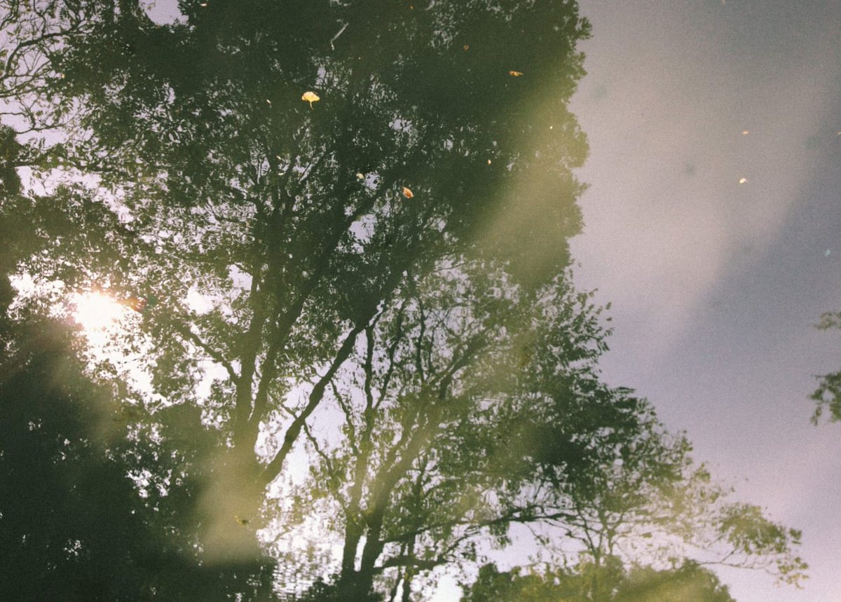 Şimdi 
her şey yeniden 
başlayacak ...
Yarın sabah olduğunda 
hayat adına 
dirençli bir sözcük söyleyeceğiz.
Yeniden!
Yeniden!
Yeniden!
Ve Allah 
yeniden 
başlayanların yardımcısıdır.

📜Tarık Tufan