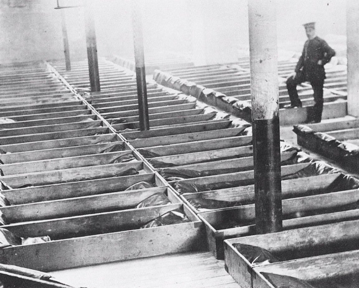 ℝ𝕚𝕡𝕡𝕖𝕣 tweet media