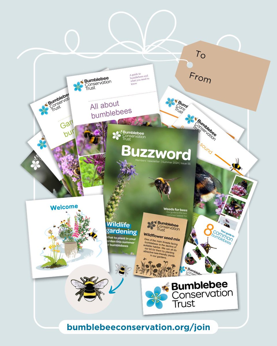 Bumblebee Conservation Trust tweet media