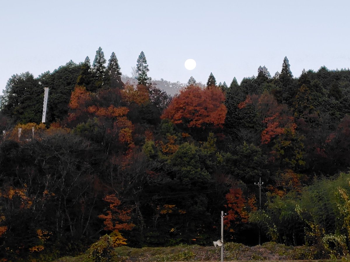 明日の演武•••
現在、生き残っている武将は
徳川家康公、福島正則殿
ワシと舞兵庫じゃ
４人はまだ大丈夫そうであるが、一夜明けてみないと何ともじゃな。
三成様と小早川殿は相次いで休陣が決定となってしもうた。皆々様もご用心下され。