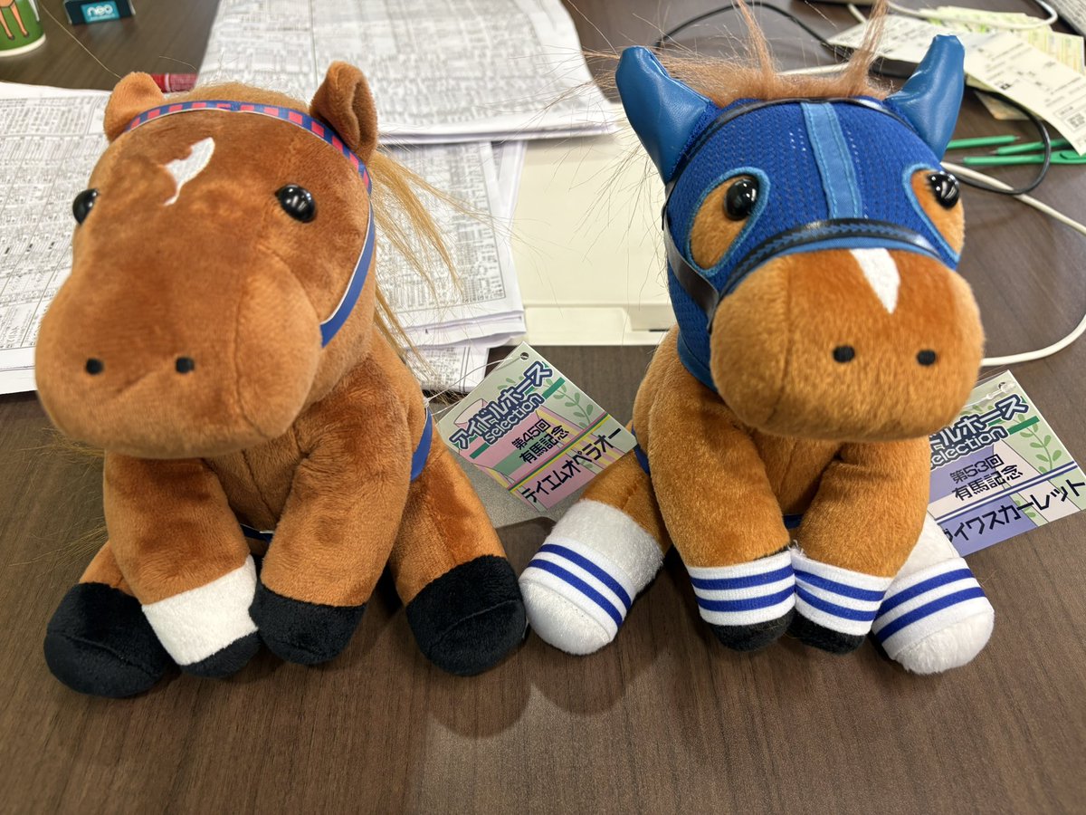 今日中山競馬場に来た目的のひとつ。 やっぱりこの2頭のアイドルホース