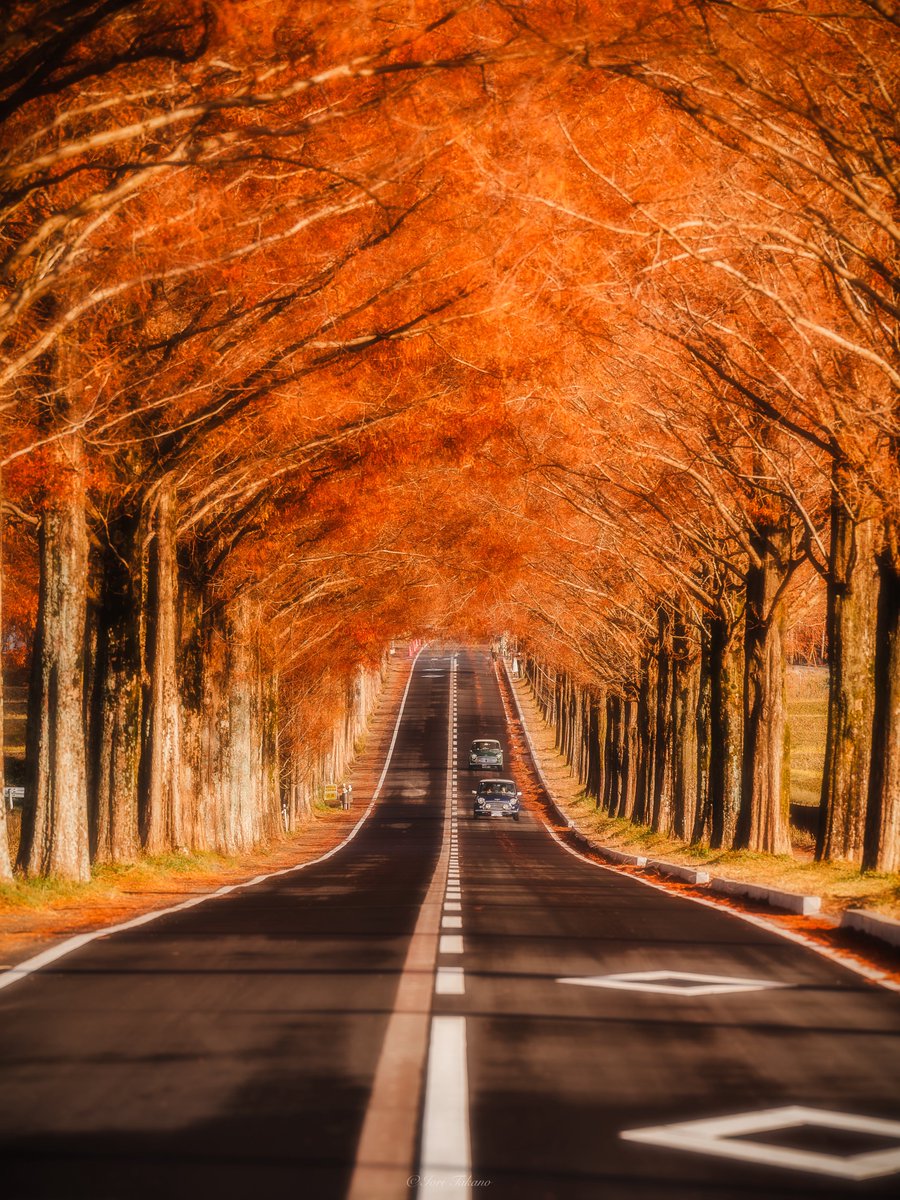 綺麗な風景と癒し (@kirei_huukei184) / Posts / X